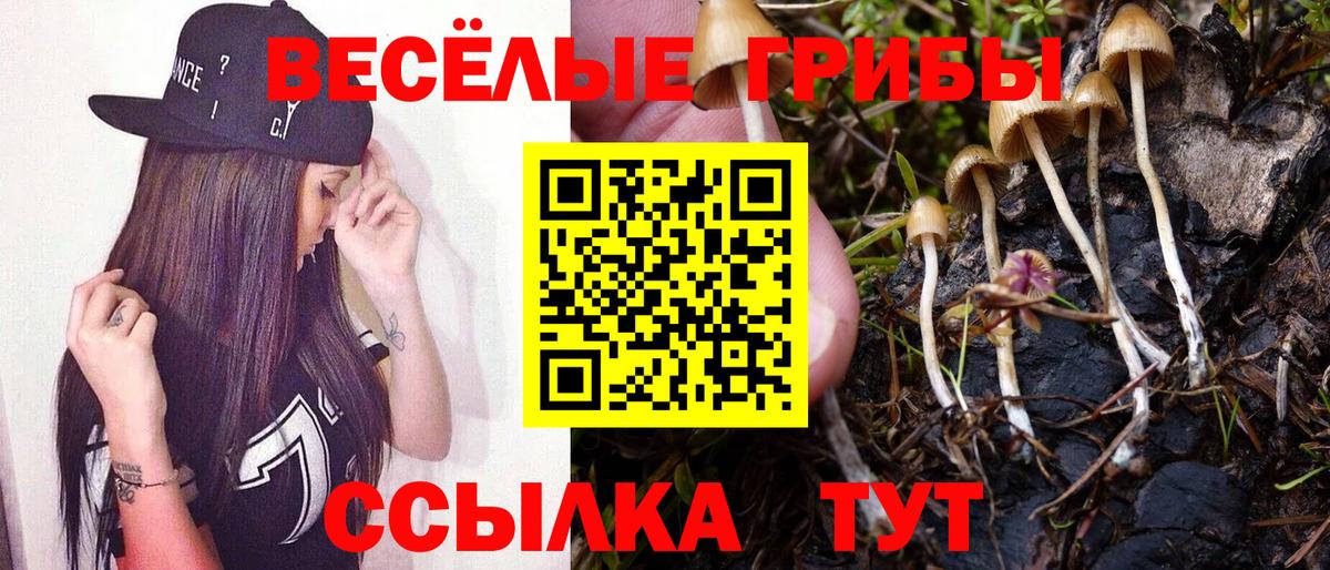 Псилоцибиновые грибы MAGIC MUSHROOMS  Вход с VPN  Азов 